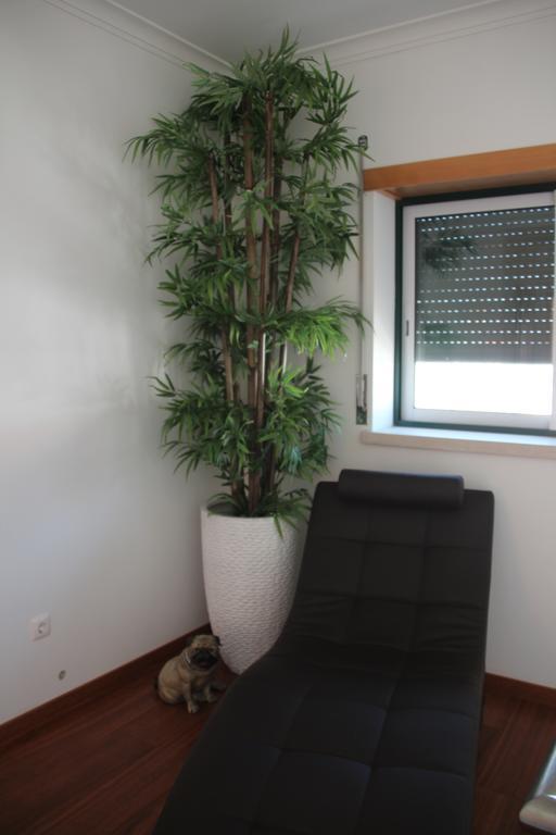Olive View Villa Vila Nova da Barquinha Exteriör bild
